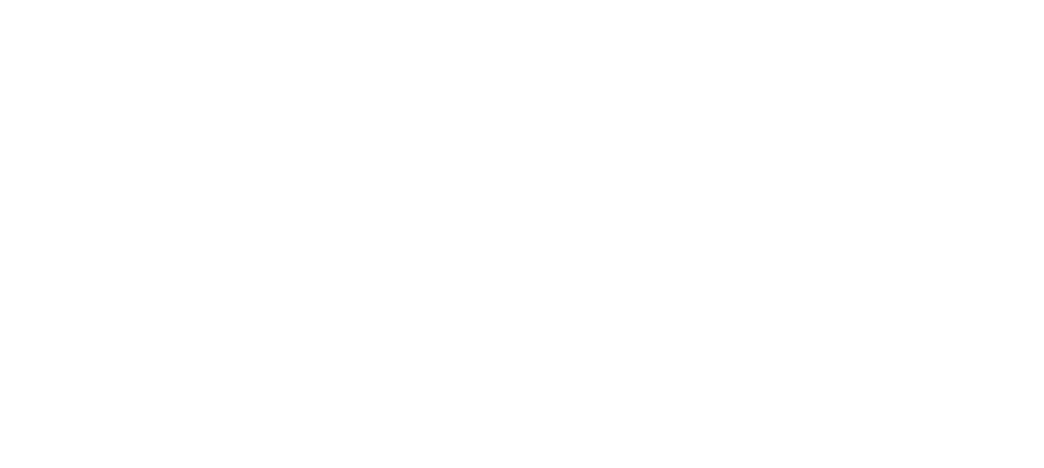 Dr. Nikeshin